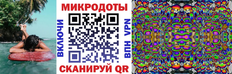 Купить закладки  Южно-Сахалинск  Псилоцибиновые грибы мицелий 